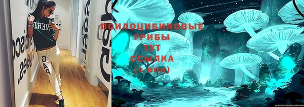 гидра Алексеевка