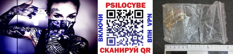 где найти наркотики  Зуевка  Галлюциногенные грибы MAGIC MUSHROOMS 